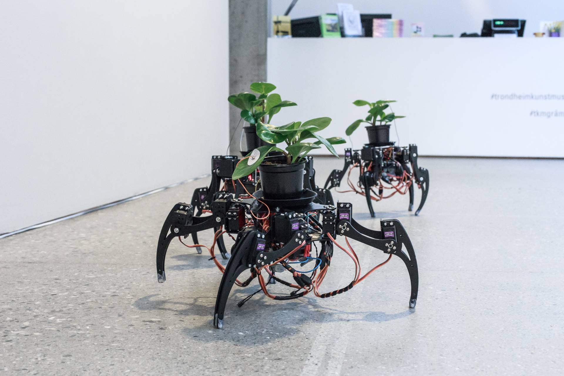 Plant Cyborgs at Digital Wild - Meta.Morf X 2020 Biennale for Art and Technology, Gråmølna Trondheim Kunstmuseum